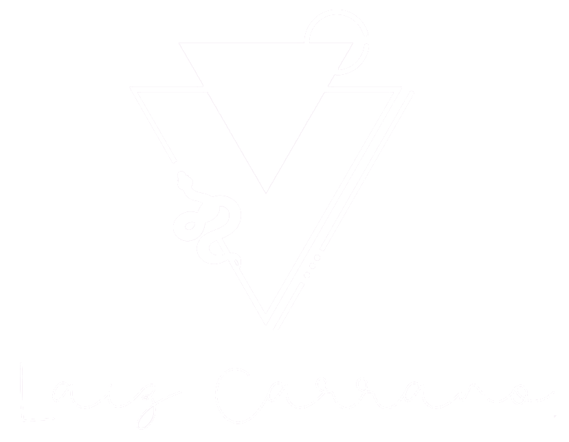 laiz-logo-branco