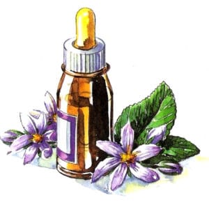 Floral Fluindo Emoções